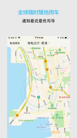 海龟出行