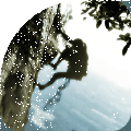 ҵ̽
