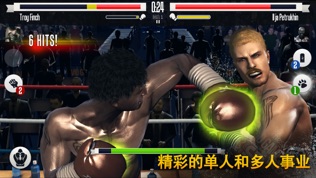 真实 拳击