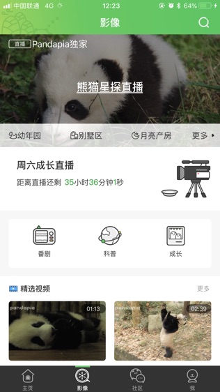 pandapia
