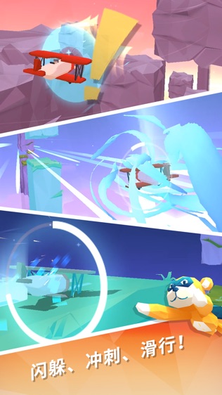 Sky Surfing