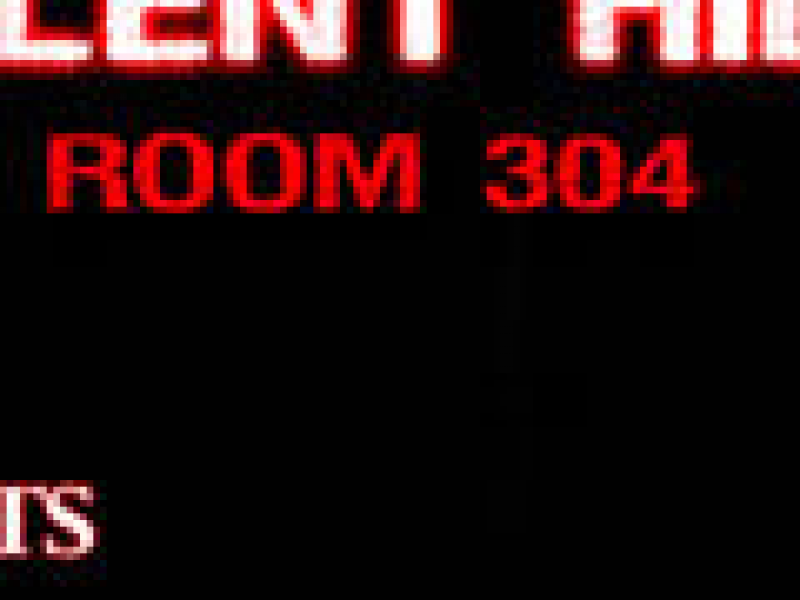 ž룺304 Ӣİ