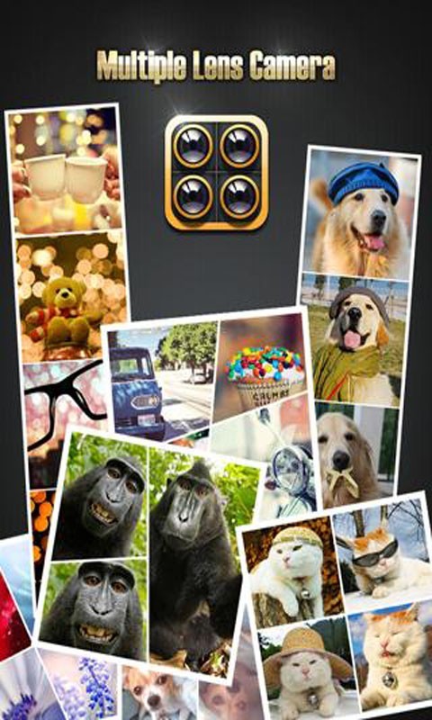 ྵͷ(Multi-lens Camera)ͼ0