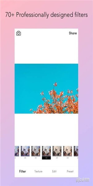 ͼ2