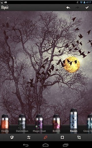 RepixͼƬ༭ͼ2