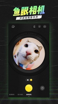 SelfieCityͼ2