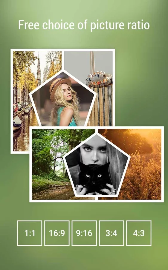 PicGridͼ2