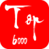 TOP6000