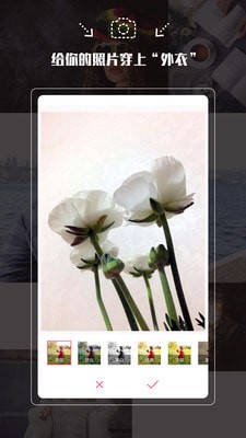 Pͼͼ2