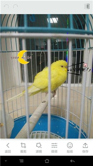˾