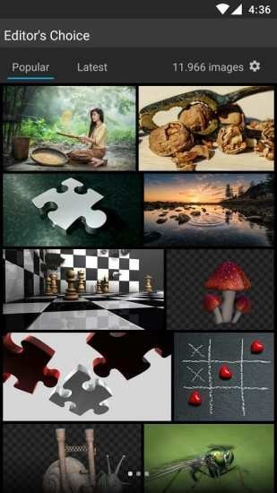 pixabayͼ2