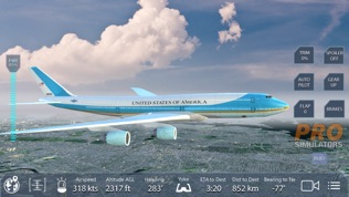 Pro Flight Simulator New York