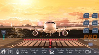 Pro Flight Simulator New York