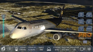 Pro Flight Simulator New York