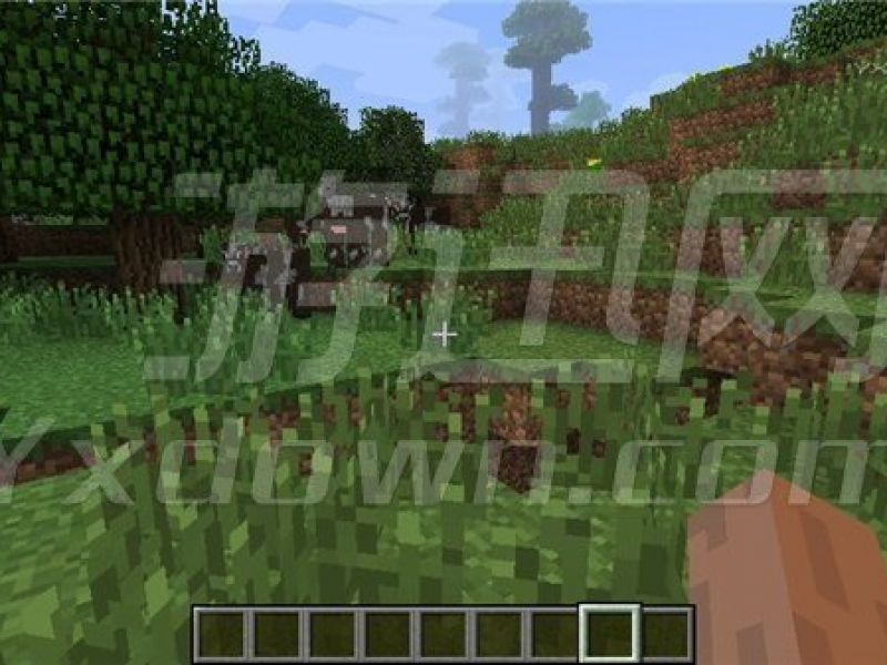ҵ1.6.2ϰ İͼ