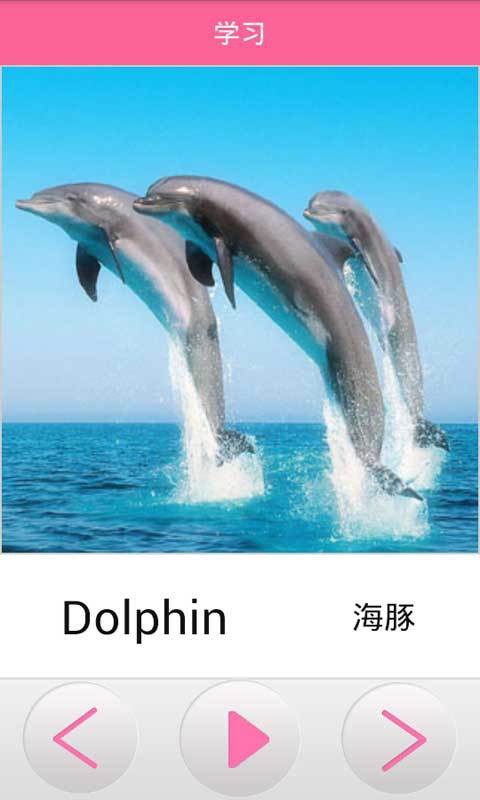׶̰ʶ