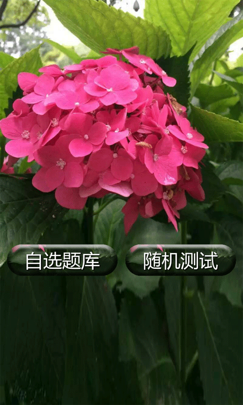пӢ⼰