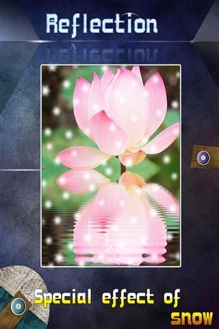 ReflectionͼƬӰͼ1