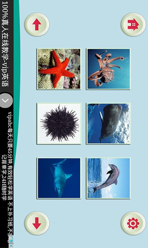 Ϻ