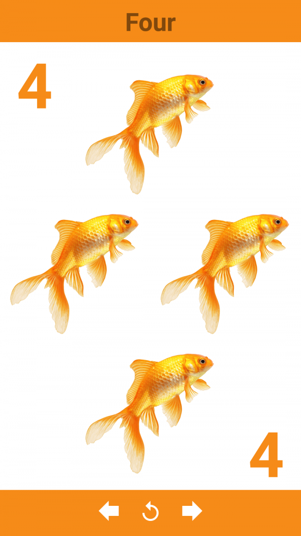 ٶӢѧ