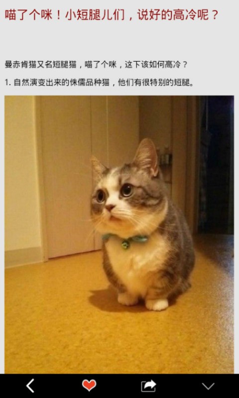 껭ͼ1