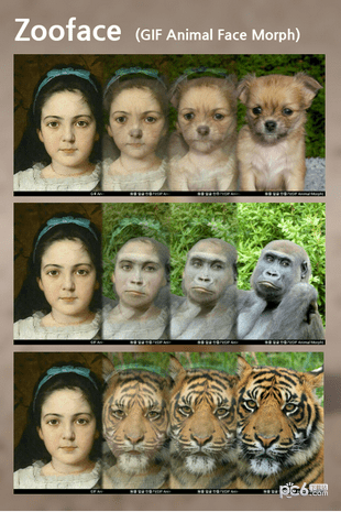 Zoofaceͼ3
