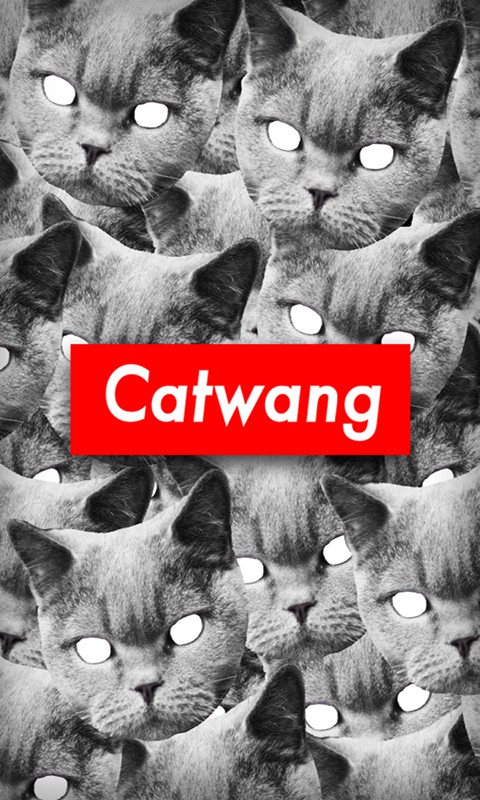 ͼ1
