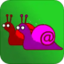 ţ