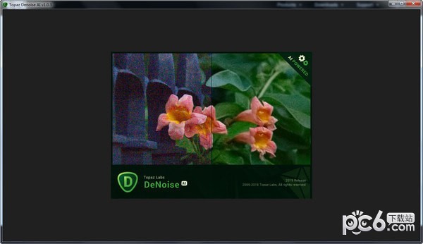 Topaz DeNoise AI(AIͼƬ)