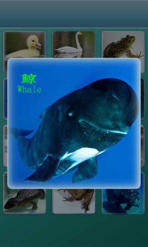 ѧʶ