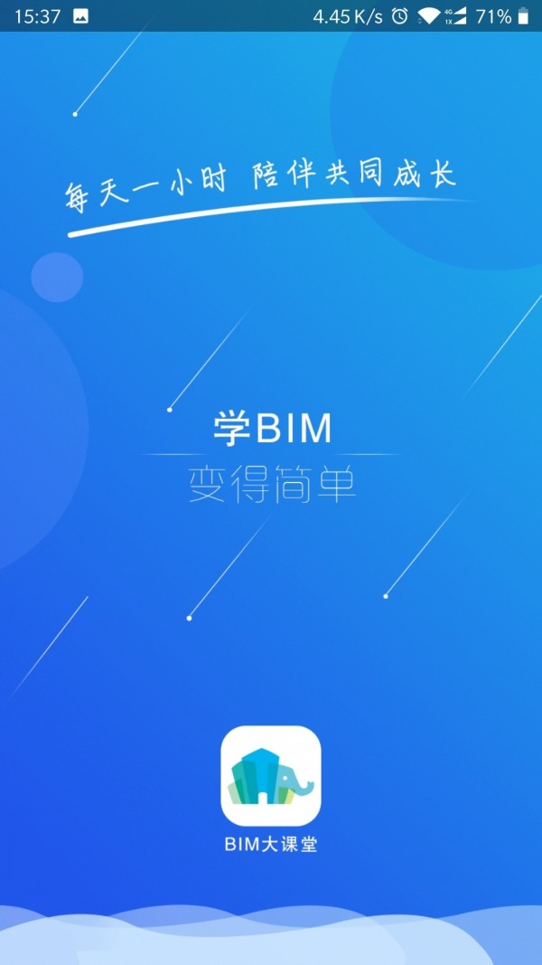 BIMͼ0