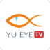tvӵ绰