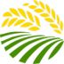 ƻ