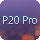 P20 Pro