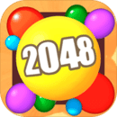 20483D