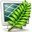 ˮɼģ(Metasequoia)