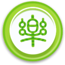 Circle