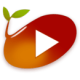 ý