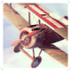 ģ(Flight Theory)