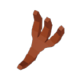 ֮