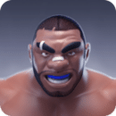MMA