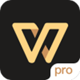 wps office pro