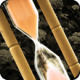 Ϸûӵİ