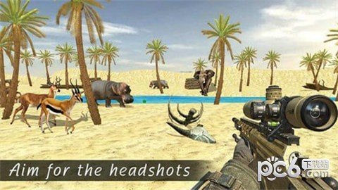 SafariHunt3D