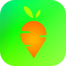 ʳƷ̳