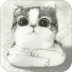 ǿץ