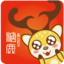 ¹ʡǮ