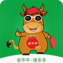 ʡţ