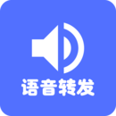 mp3