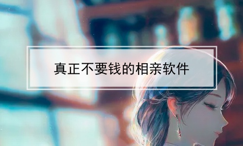 ҪǮ